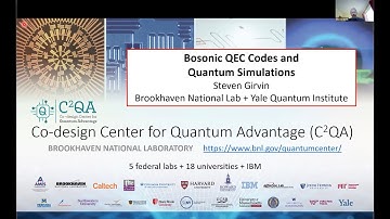 Steven Girvin - Bosonic quantum error correction and quantum simulation