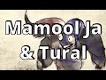 FFXIV Lore- The New World and Mamool Ja (Dawntrail)