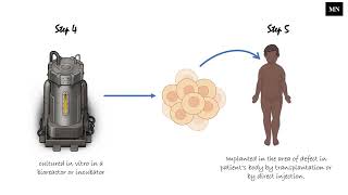 Tissue engineering Lecture 1
