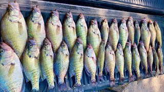 1 HOUR Catching BIG SLABS in the MIDDLE of the LAKE!  (CATCH & COOK)