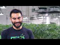 Growing for Tyson Ranch, Fishing with Xzibit, and Harry Pothead Gets Sorted- Originals Family Farms