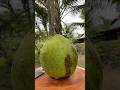 Fresh fruit 💦🥶 #coconat