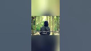 Animasi status wa (Once Dealova)