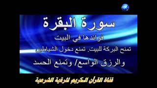 سورة البقرة ... تلاوة عطرة .. الشيخ أحمد العجمي .. جالبة للرزق الواسع .. حافظة للبيت من الشياطين