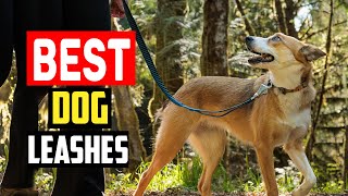 ✅Top 5 Best Dog Leashes in 2024 by The Pets Products 81 views 1 month ago 5 minutes, 17 seconds