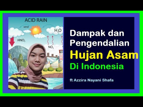 Video: Hujan Asam Dan Kerusakan Tanaman - Pengaruh Hujan Asam Terhadap Pertumbuhan Tanaman