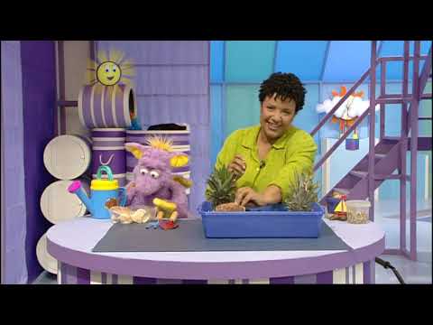 Tikkabilla - Series 1 Episode 13 (2002)
