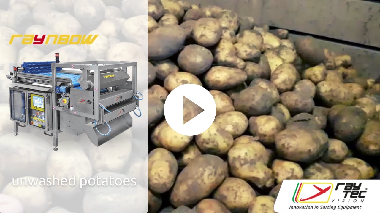 #Raynbow #sortingmachine for unwashed #potatoes | RAYTEC VISION SpA