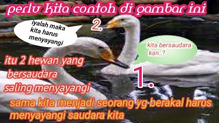 Al-Akhlaq lil Banin Juz 1 | Ngaji Kitab Eps 4