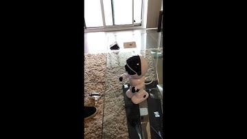 Step by step MI-TUYA SMART installation video.