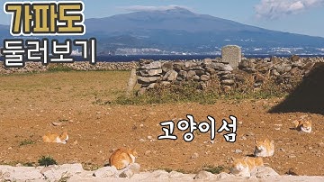 고양이 섬 가파도, 2시간 제주 여행코스