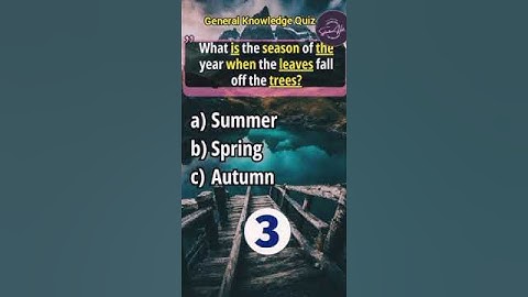 General Knowledge Quiz | Splendour Hub #youtubeshorts