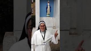 Interview with Sr Catherine OP - Question on hobbies