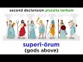 Irregular Latin Noun Forms