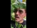 Дима Билан поет 3 сентября пятый год подряд (2019🍁)
