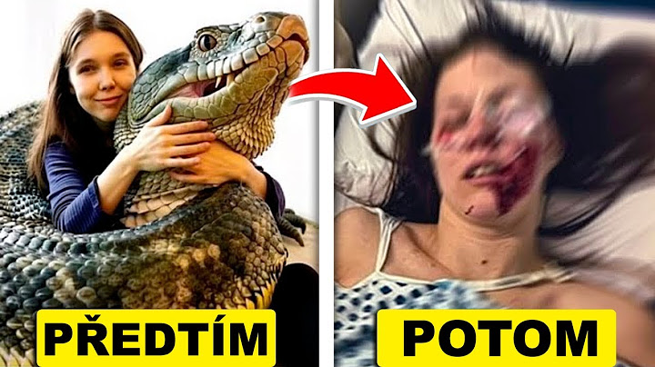 18 Lidí, Kteří Si Omylem Adoptovali Příšery!