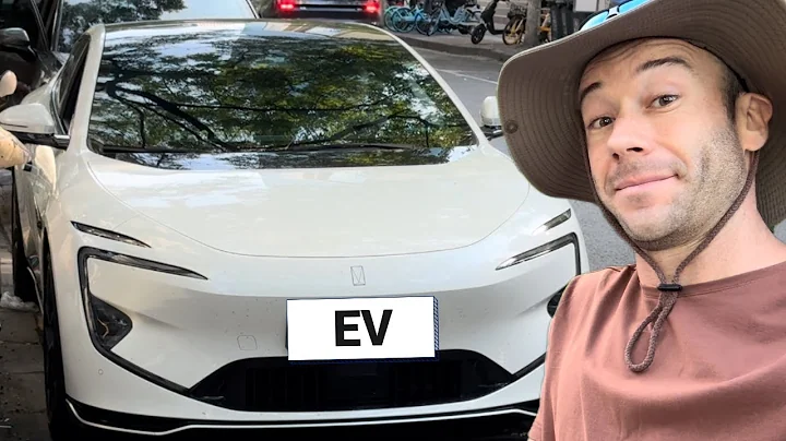 How Many EVs Can I Find on a Walk in China? | Discovering China's Electric Vehicle Future - DayDayNews