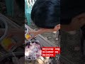 nilamaw na kaimito 😋#viral #shortsfeed #trending #millionviews