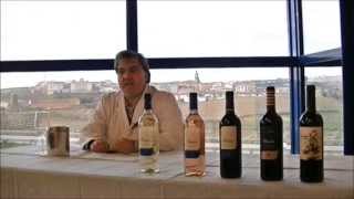 Bodega Cooperativa San Cebrín, San Asensio, La Rioja - Blanco Joven 2012