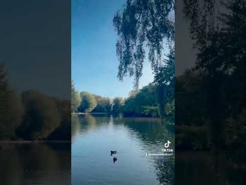 حسين الجسمي أموت فيك انت شبلاك