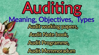 Auditing Questions - meaning,Objectives, Audit Momorandum, Audit Notebook, Audit Working papers