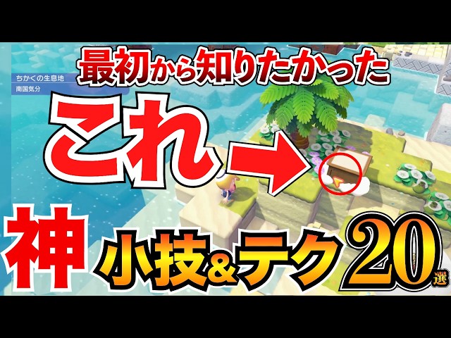 Pokoa Pokemon Guide] You're missing out if you don't know! Part 2