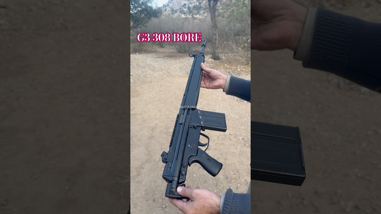 G3 308 BORE REVIEW