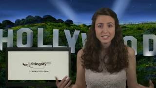 GEM Factor- IT Governance