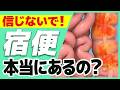 宿便の本当のところ。長年古く溜まった物なの？その正体は？