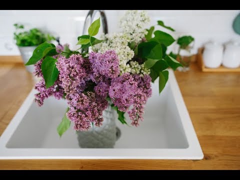 Can I Change the Water in My Flowers on Yom Tov?