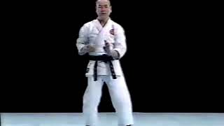 Tensho Karate Do Shito Ryu Kata & Bunkai Tensho Karate Do Shito Ryu Kata & Bunkai