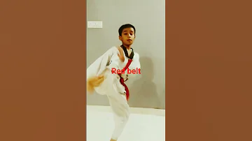 Taekwondo Belts Taekwondokicks Taekwondo Teakwondolifestyle Karate Belt Believeinyourself 