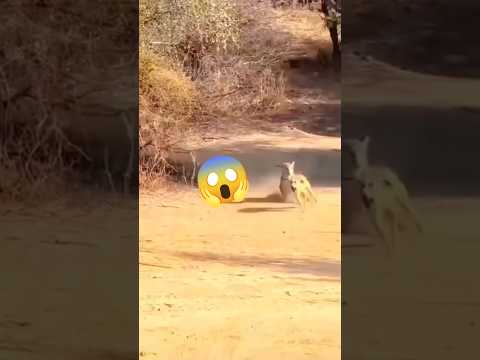 Watch Till END 😂😆😝.               #funnyvideo #comedyshorts #viral #trending
