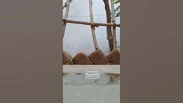 ice melt (official video) #ice #melting