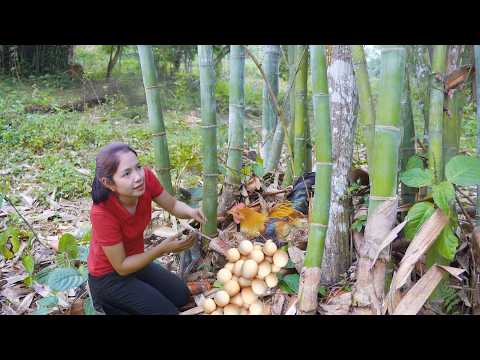 Harvest 1000 Eggs In The Forest Sell At The Market Selling Grown Chicken Emma Free Bushcraft