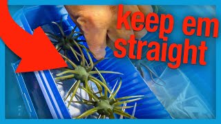 Coike HACKS! Hideup Coike Storage & Maintenance