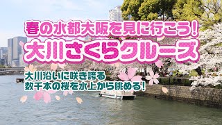 お花見クルーズ 大川さくらクルーズ 大阪 大川沿いに咲き誇る数千本の桜を水上から眺める Youtube お花見クルーズ 大川さくらクルーズ 大阪 大川沿いに咲き誇る数千本の桜を水上から眺める Youtube