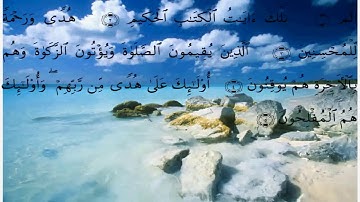 سورة لقمان من الاية ١ الى ١١