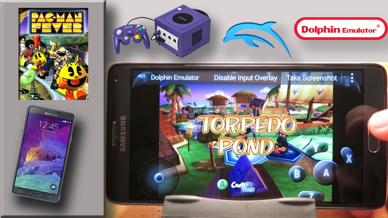 Nintendo wii dolphin emulator roms