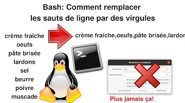 Comment remplacer tous les sauts de lignes d