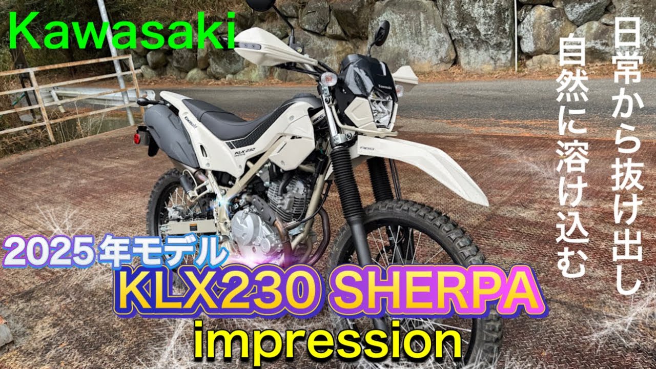 WHOOPS 【KLX230】2025年 ★チタンカーボン WHOOPS 【KLX230】2025年 ☆チタンカーボン WHOOPS 【KLX230