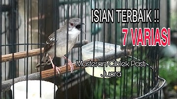 CIBLEK KRISTAL GACOR 7 VARIASI || 1 JAM NONSTOP UNTUK PANCINGAN DAN MASTERAN CIBLEK