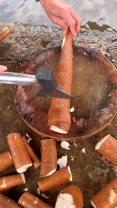 #shorts #agriculture #farming2024 #satisfying #machine #shot #EliteShortsUnleashed #3979