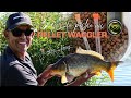 Comment dbuter la pche au pellet waggler  avec frdric skornog  matrix fishing tv france 