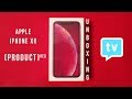 Apple iPhone XR Product RED Unboxing