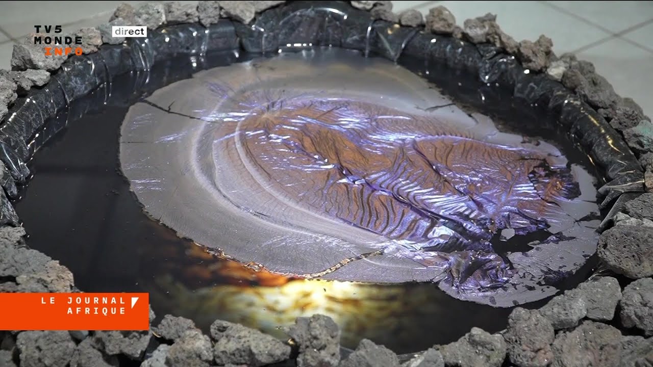 RD Congo : une exposition à Goma