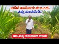           adike arecanut  farming in kannada  karnataka