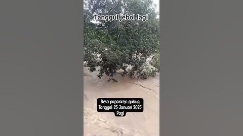 Banjir Desa Papanrejo Kabupaten Grobogan Jawa Tengah