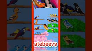 Happy Bird Escape Level 1448