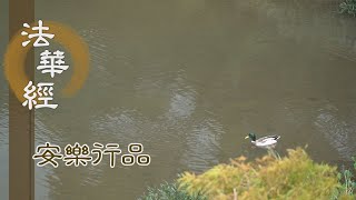 【靜思妙蓮華】法華經安樂行品 - 與魔共戰 有大功勳 - 20230626 第1444集